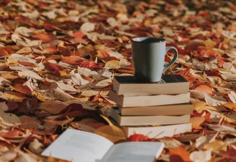 Wydawnictwo Poglądowe